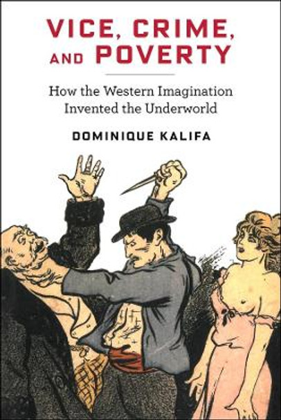 Vice, Crime, and Poverty: How the Western Imagination Invented the Underworld by Dominique Kalifa 9780231187428