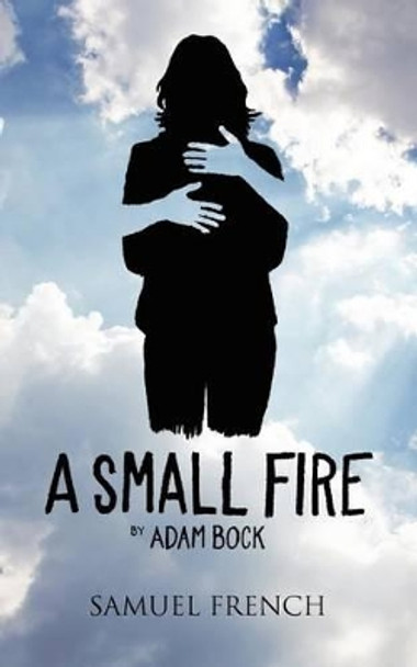 A Small Fire by Adam Bock 9780573700033