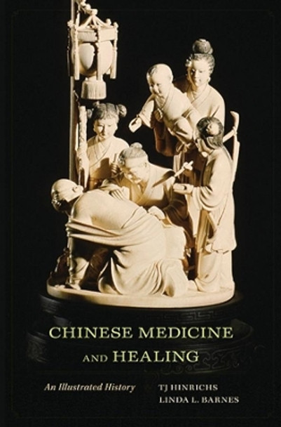 Chinese Medicine and Healing: An Illustrated History by T. J. Hinrichs 9780674047372