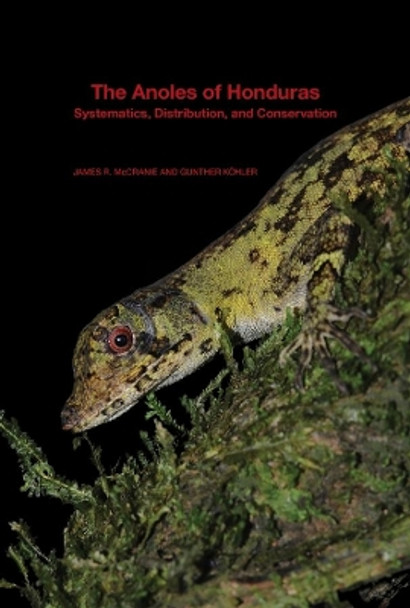 The Anoles of Honduras: Systematics, Distribution, and Conservation by James R McCranie 9780674504417