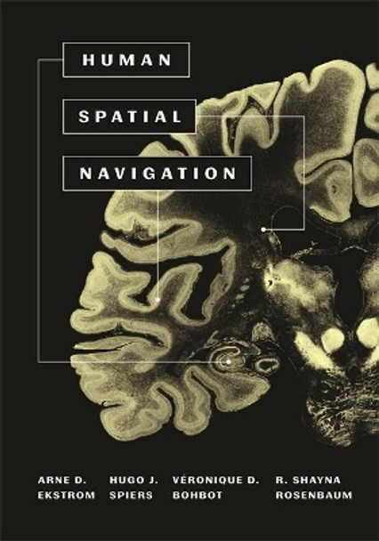 Human Spatial Navigation by Arne D. Ekstrom 9780691171746