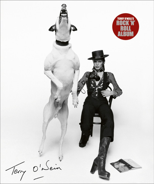 Terry O'Neill's Rock 'n' Roll Album Terry O'Neill, CBE 9781788841948