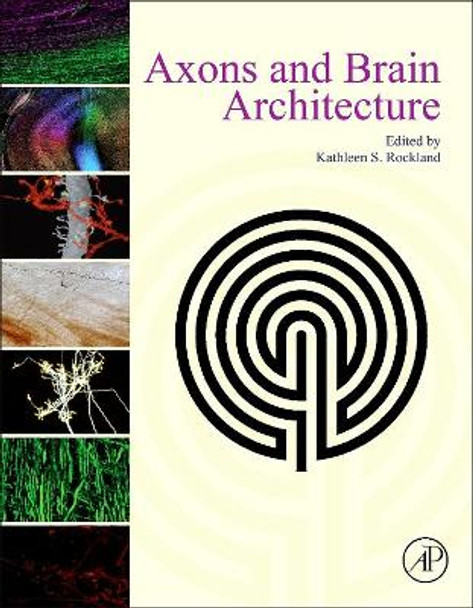 Axons and Brain Architecture by Kathleen S. Rockland 9780128013939