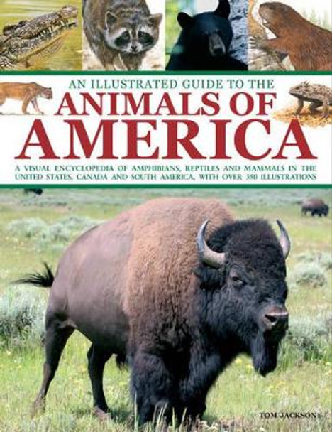 An Illustrated Guide to the Animals of America: a Visual Encyclopedia of Amphibians, Reptiles and Mammals in the United States, Canada and South America, with Over 350 Illustrations by Tom Jackson