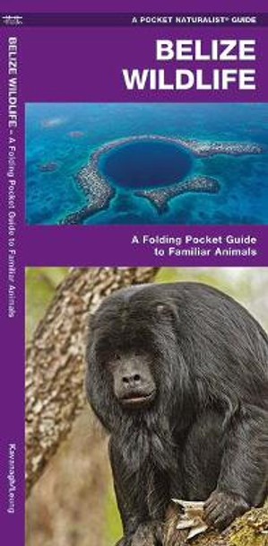 Belize Wildlife: An Introduction to Familiar Species by James Kavanagh