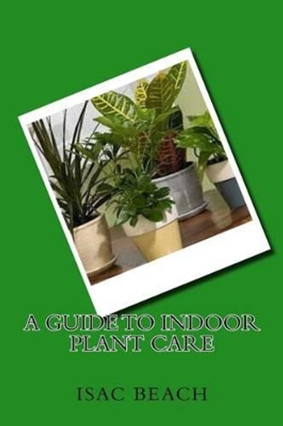A Guide to Indoor Plant Care by Isac Beach
