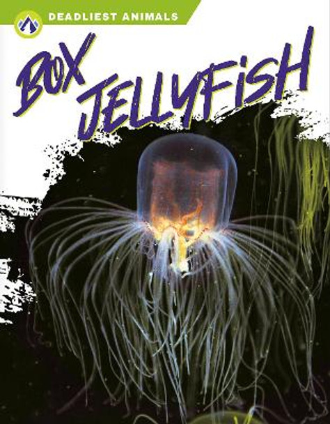 Box Jellyfish by Connor Stratton 9781637382813