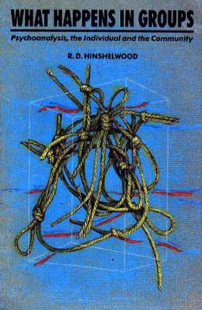 What Happens in Groups: Psychoanalysis, the Individual and the Community by R. D. Hinshelwood 9780946960897