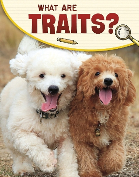 What Are Traits? by Emily Sohn 9781398225411