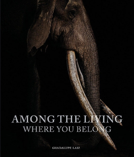 Among the Living: Where You Belong Guadalupe Laiz 9781864709650 Among the Living: Where You Belong Guadalupe Laiz 9781864709650