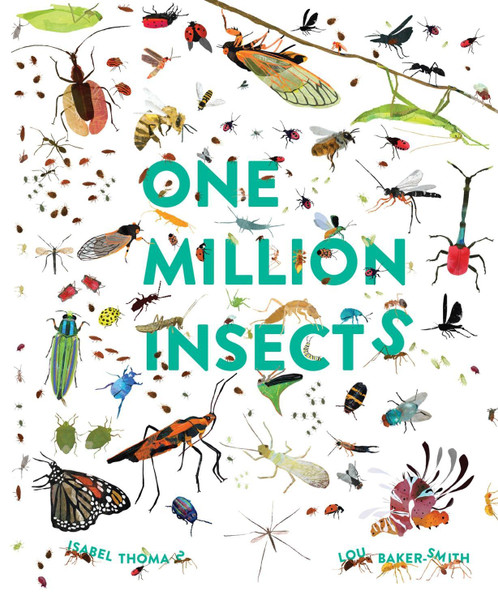 One Million Insects Isabel Thomas 9781803380087