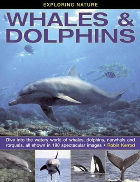 Exploring Nature: Whales & Dolphins: Dive into the Watery World of Whales, Dolphins, Narwhals and Rorquals, All Shown in 190 Spectacular Images by Robin Kerrod 9781843229124