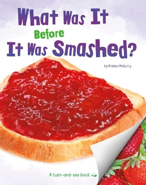 What Was It Before It Was Smashed? by Kristen Mccurry 9781977113337