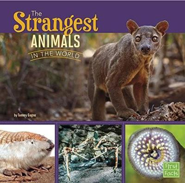 Strangest Animals in the World (All About Animals) by Tammy Gagne 9781491422403