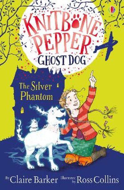 Knitbone Pepper and the Silver Phantom by Claire Barker