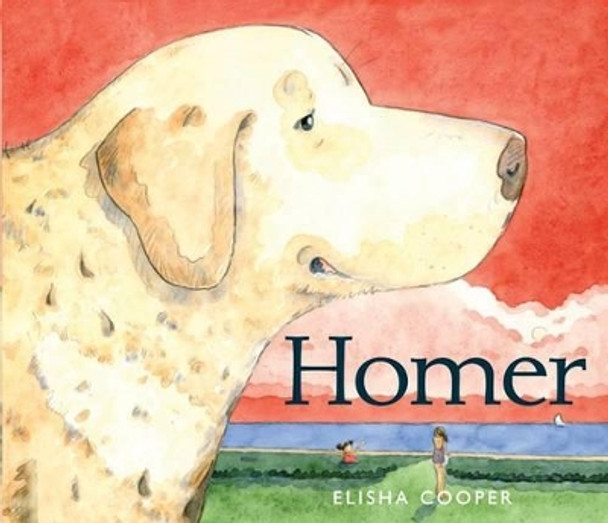 Homer by Elisha Cooper 9780062012487