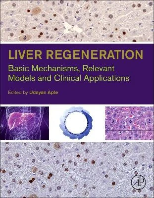 Liver Regeneration: Basic Mechanisms, Relevant Models and Clinical Applications by Udayan M. Apte 9780124201286