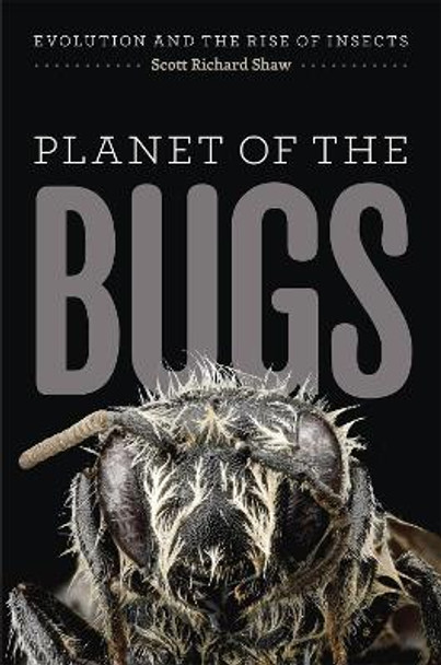 Planet of the Bugs: Evolution and the Rise of Insects by Scott R. Shaw