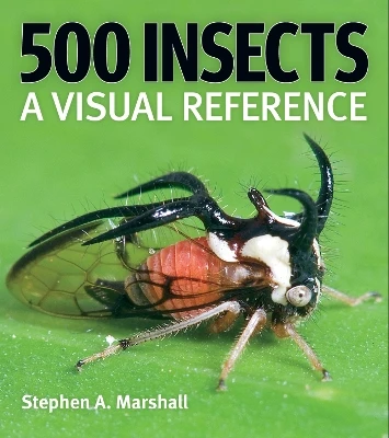 500 Insects: A Visual Reference by Stephen A Marshall 9780228104940