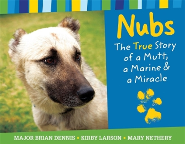 Nubs: The True Story by Mary Nethery 9780316053181