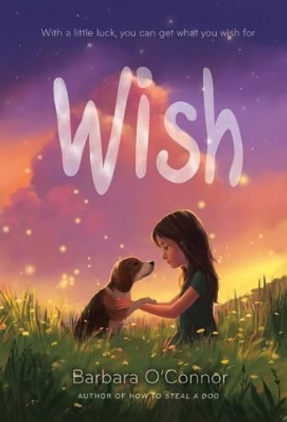 Wish by Barbara O'Connor 9780374302733