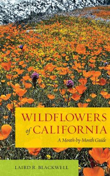 Wildflowers of California: A Month-by-Month Guide by Laird Blackwell 9780520272064