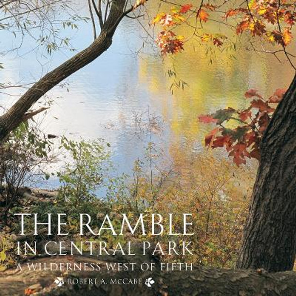 Ramble in Central Park by Robert A. McCabe