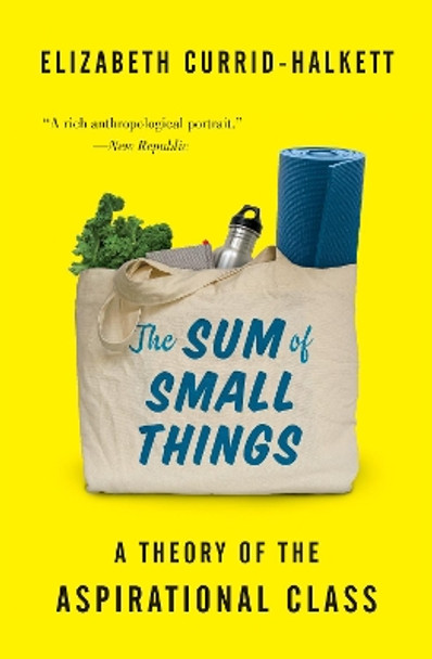 The Sum of Small Things: A Theory of the Aspirational Class by Elizabeth Currid-Halkett 9780691183176