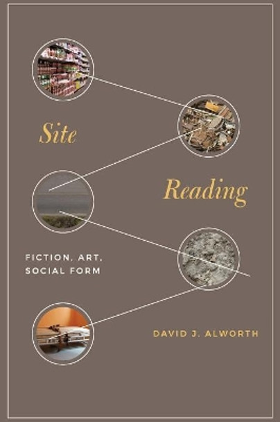 Site Reading: Fiction, Art, Social Form by David J. Alworth 9780691183343