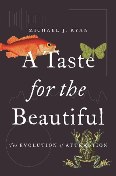 A Taste for the Beautiful: The Evolution of Attraction by Michael Ryan 9780691191393