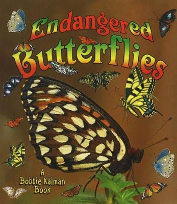 Endangered Butterflies by Robin Johnson 9780778719168
