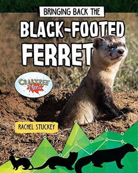 Bringing Back the Black-Footed Ferret by Rachel Stuckey 9780778763246