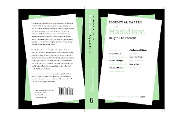 Essential Papers on Hasidism by Gershon David Hundert 9780814734698