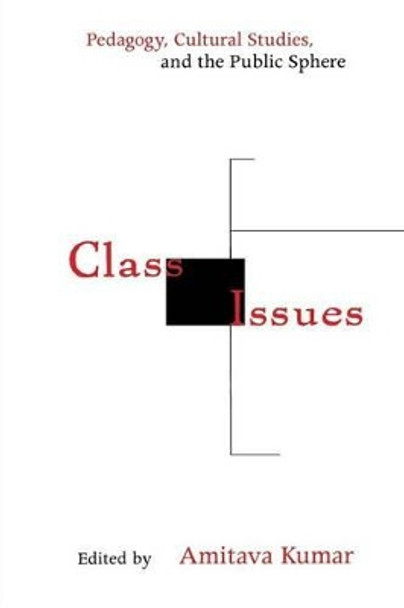 Class Issues: Pedagogy, Cultural Studies, and the Public Sphere by Amitava Kumar 9780814746967