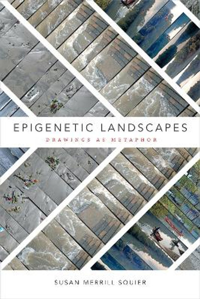 Epigenetic Landscapes: Drawings as Metaphor by Susan Merrill Squier 9780822368601