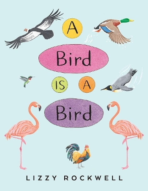 A Bird Is a Bird by Lizzy Rockwell 9780823440122