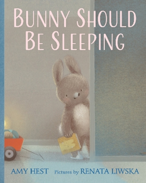 Bunny Should Be Sleeping by Amy Hest 9780823453412