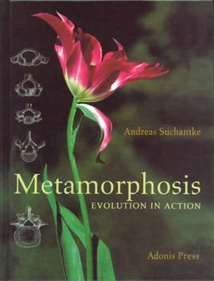 Metamorphosis: Evolution in Action by Andreas Suchantke 9780932776396