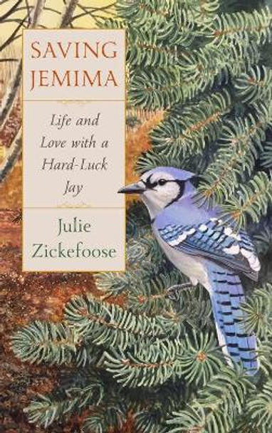 Saving Jemima: Life and Love with a Hard-Luck Jay by Julie Zickefoose 9781328518958