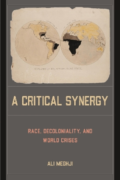 A Critical Synergy: Race, Decoloniality, and World Crises by Ali Meghji 9781439922071