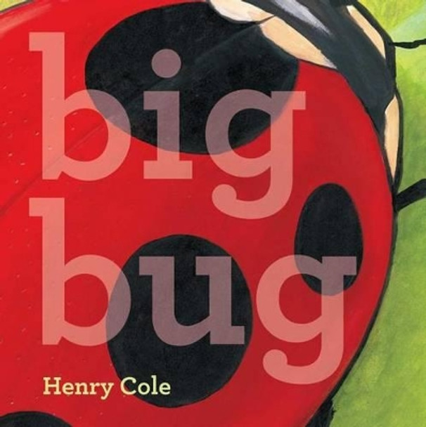 Big Bug by Henry Cole 9781442498976