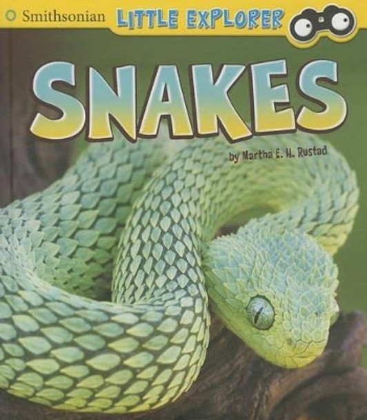 Little Explorer: Snakes by Martha Rustad 9781476539355