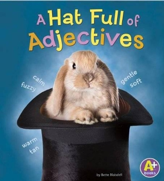 A Hat Full of Adjectives by Bette Blaisdell 9781476550978