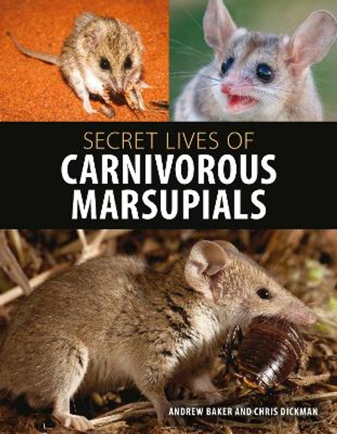 Secret Lives of Carnivorous Marsupials by Andrew Baker 9781486305148