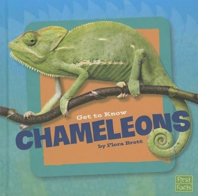 Chameleons by Flora Brett 9781491420591