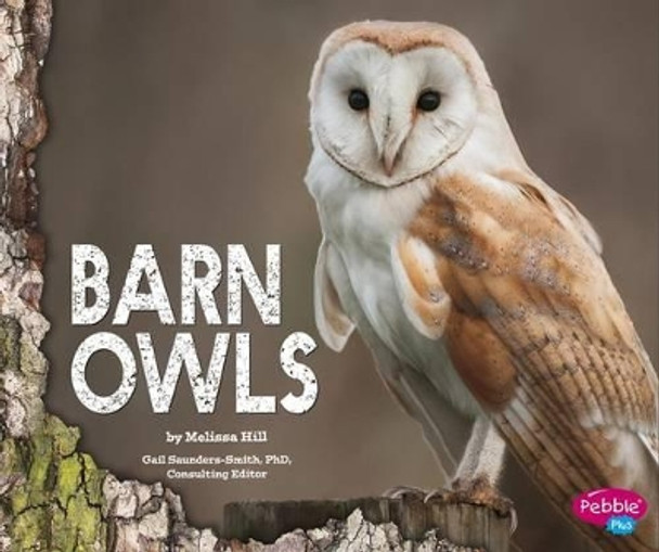 Barn Owls by Melissa Hill 9781491460450