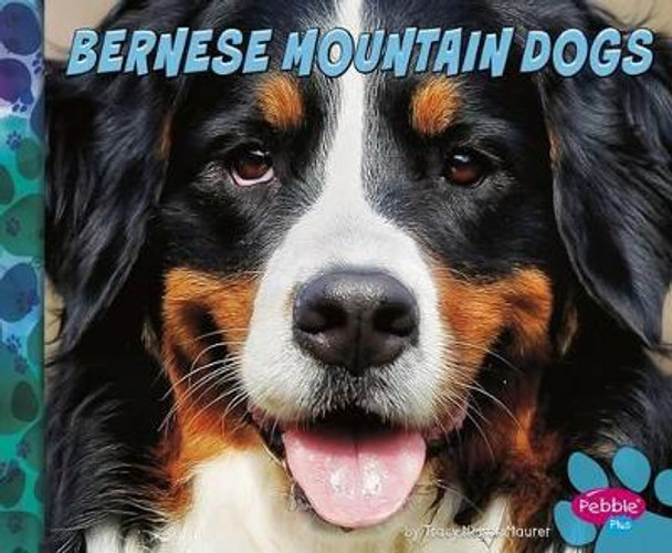 Bernese Mountain Dogs by Allan Morey 9781491479827