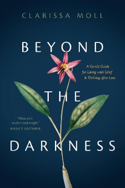 Beyond the Darkness by Clarissa Moll 9781496458933