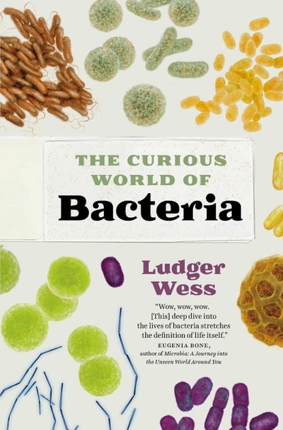 Bacteria: A Curious Collection from a Microscopic World by Ludger Wess