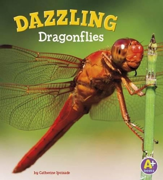 Dazzling Dragonflies (Bugs are Beautiful!) by Catherine Ipcizade 9781515745020